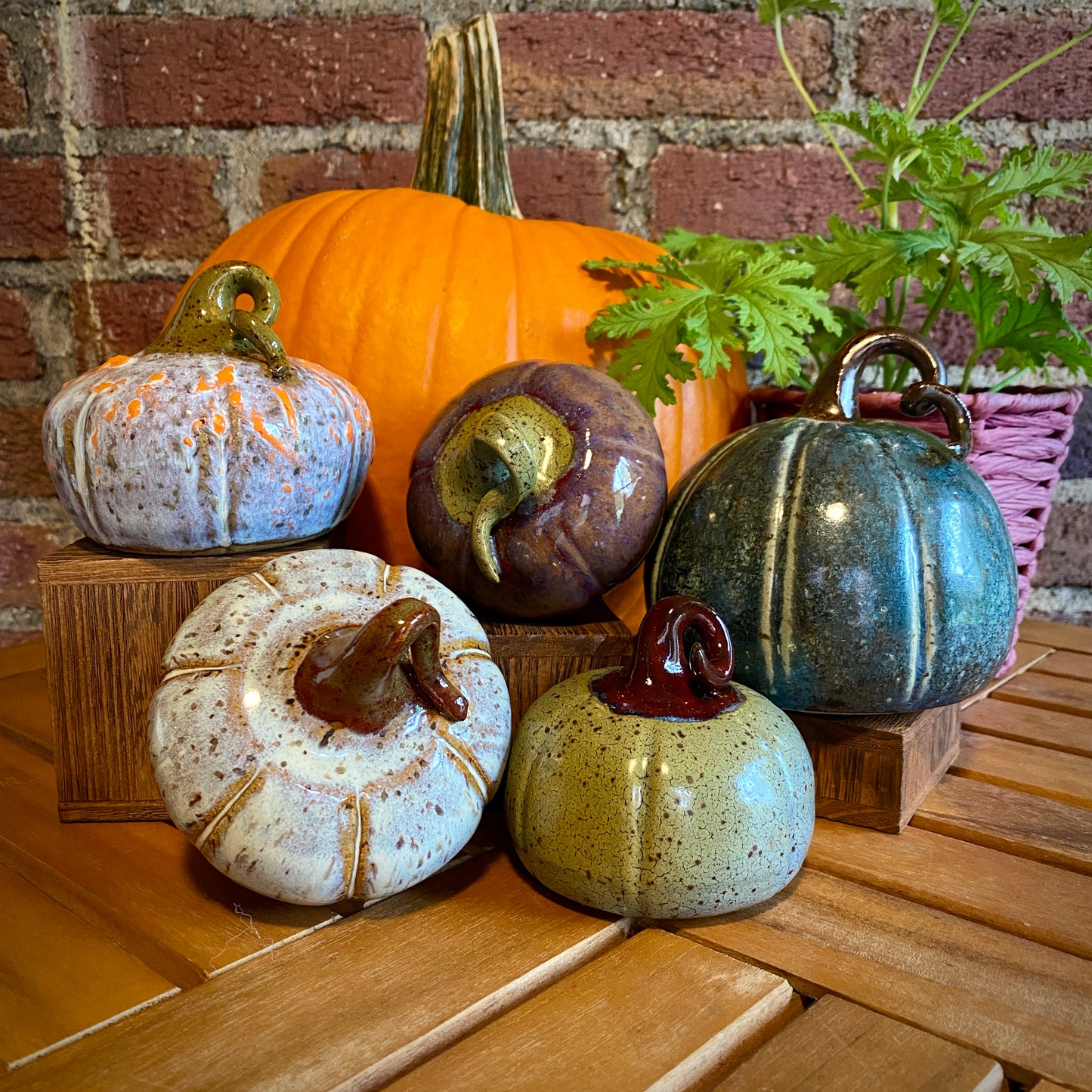 Decorative Gourd - mottled maroon