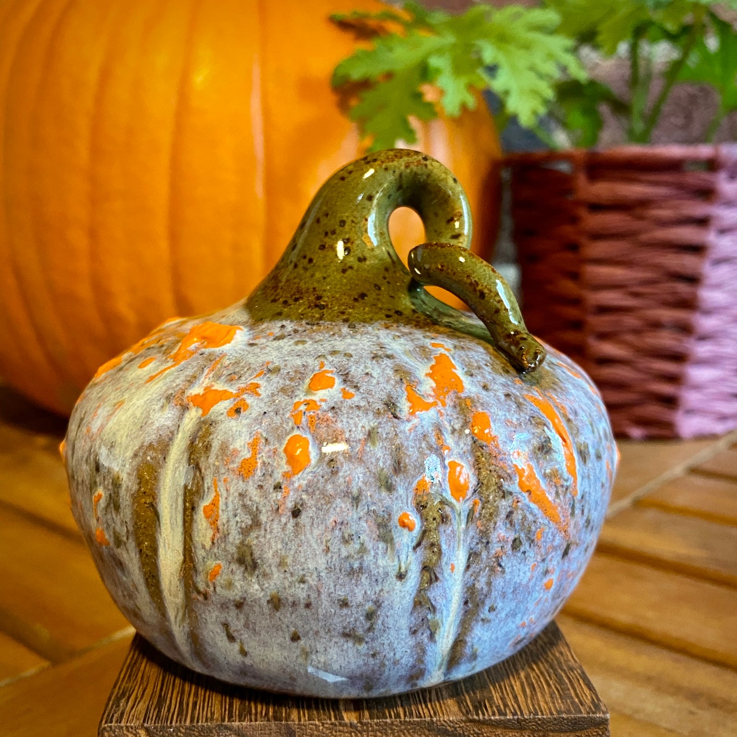 Decorative Gourd - pop of orange