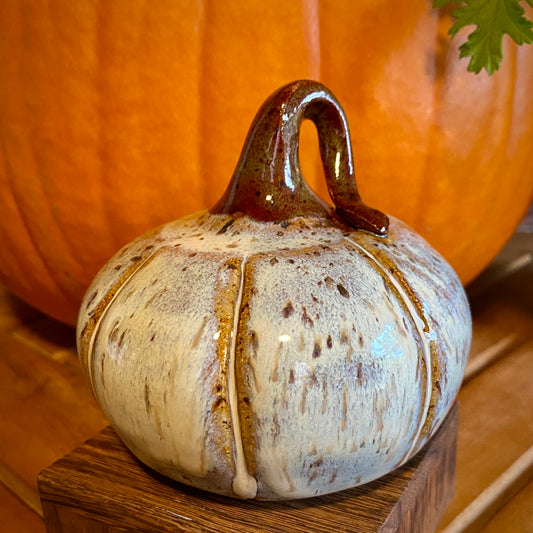 Decorative Gourd - birch white