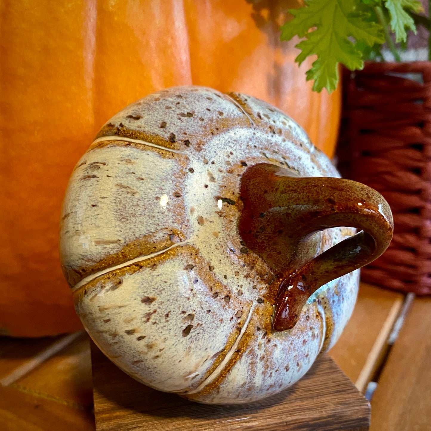 Decorative Gourd - birch white