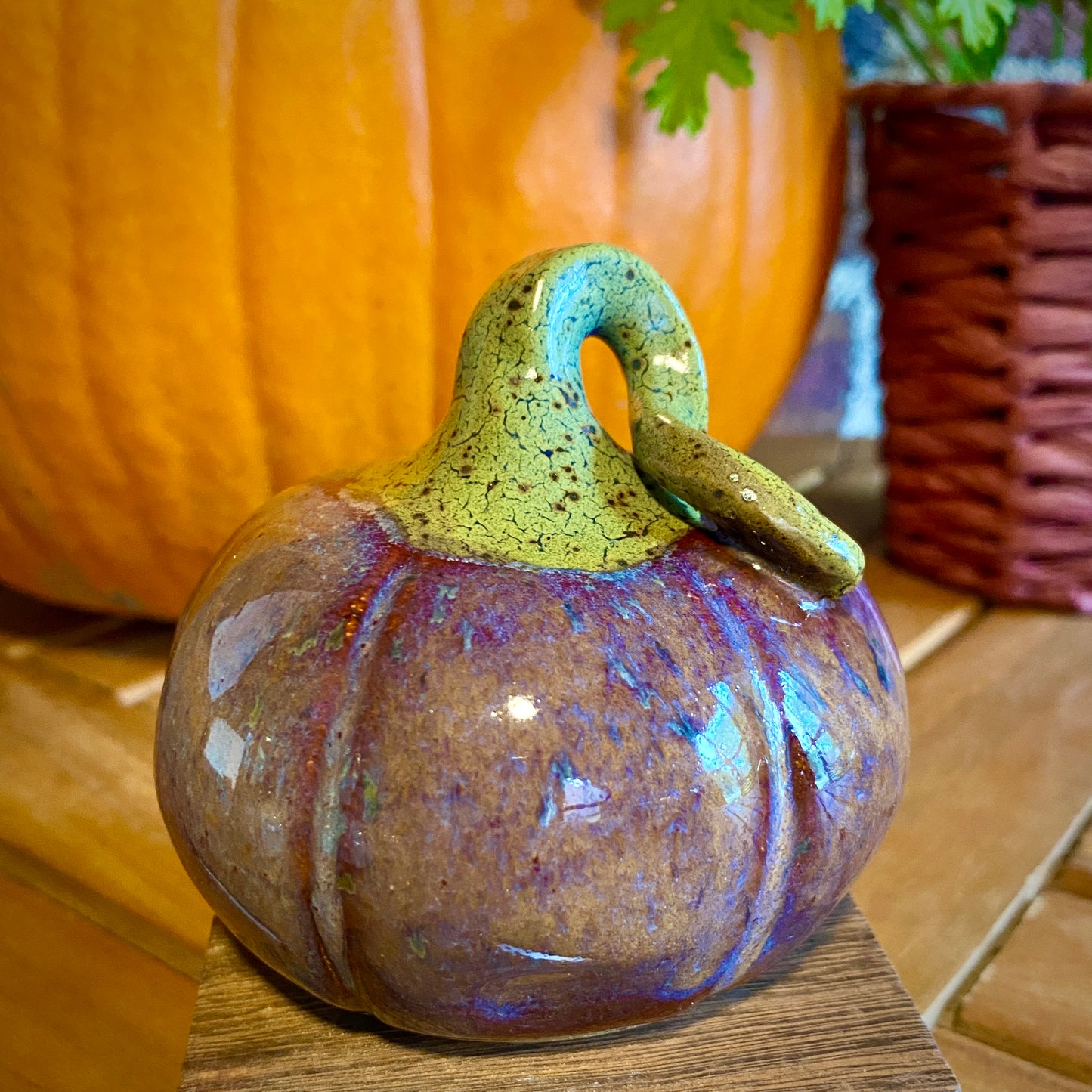 Decorative Gourd - mottled maroon